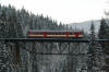 Novoroční fotka od M. Boháče ze dne 30.12.2006