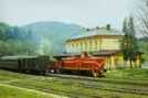 T 426.004 in Desna, 12.5.1974